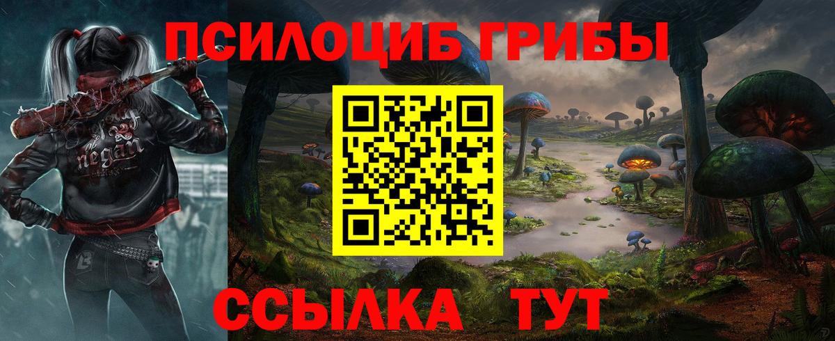 Псилоцибиновые грибы Psilocybine cubensis Сыктывкар